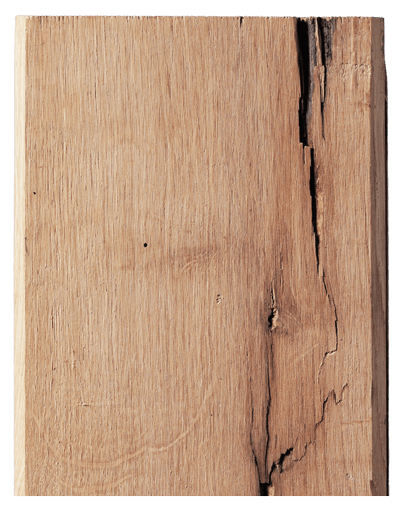 Zdjęcie drewna dębowego w brązie